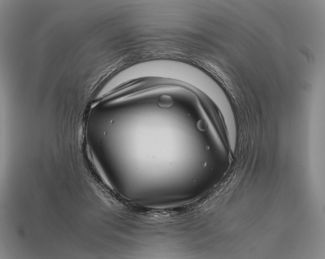 X0000112970405200909171322