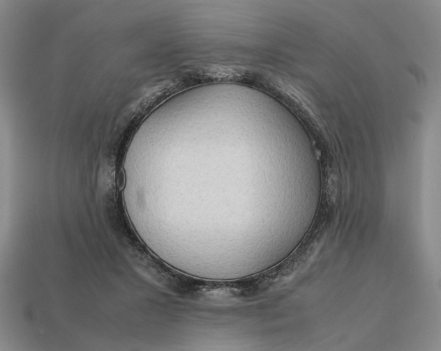 X0000112970407200909171322