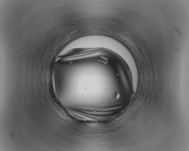 X0000112970409200909171322