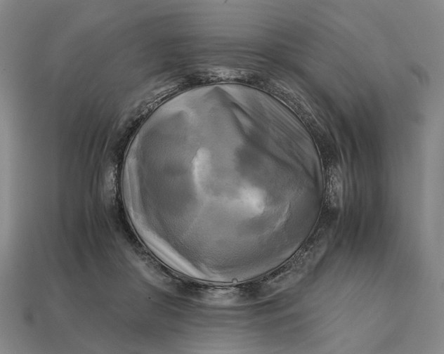 X0000112970410200909171322