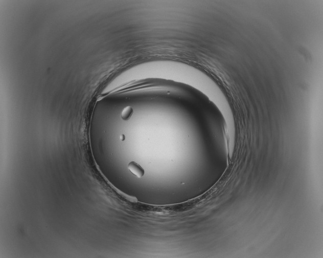 X0000112970411200909171322