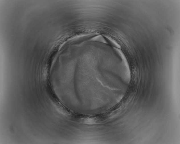 X0000112970412200909171322