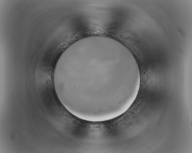 X0000112970415200909171322