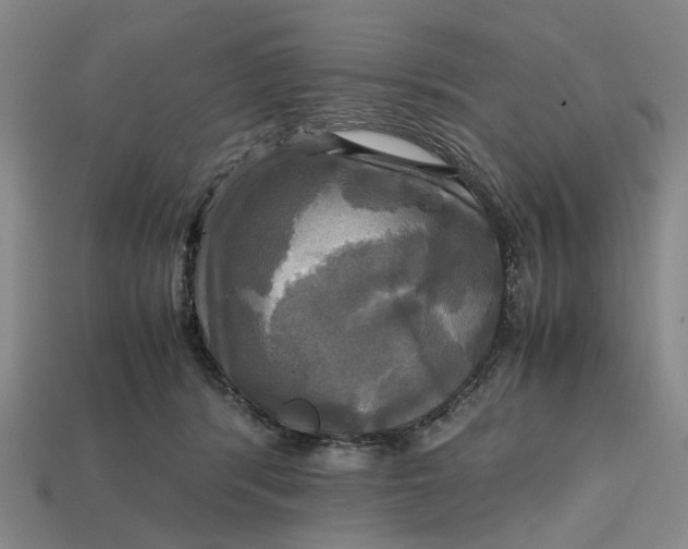 X0000112970416200909171322