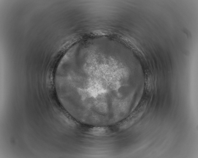 X0000112970418200909171322