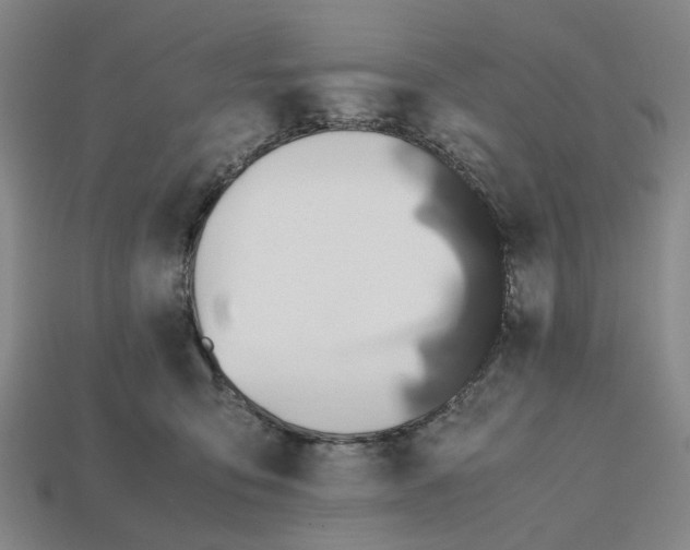 X0000112970419200909171322