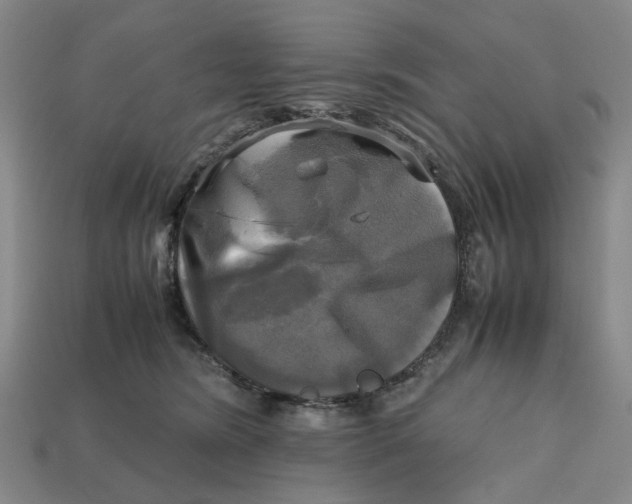 X0000112970420200909171322