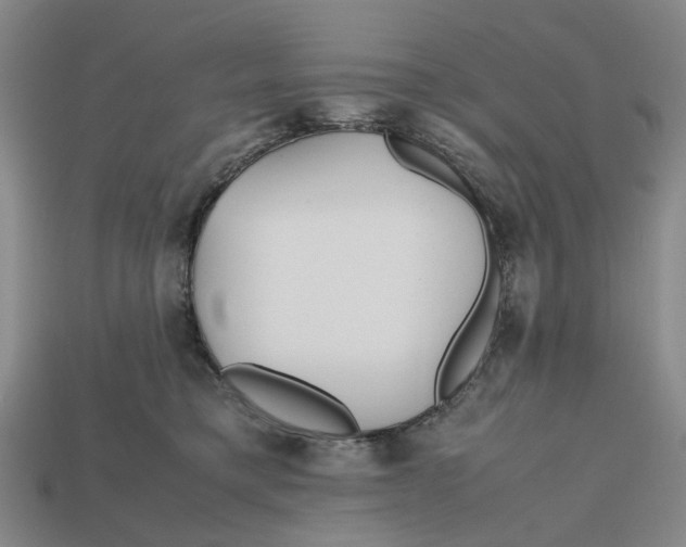 X0000112970421200909171322