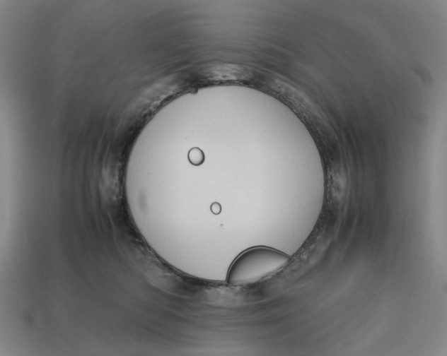 X0000112970422200909171322