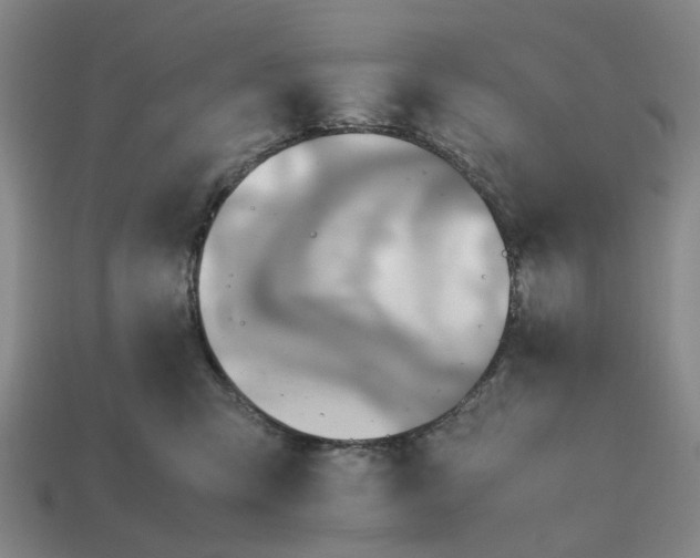 X0000112970423200909171322