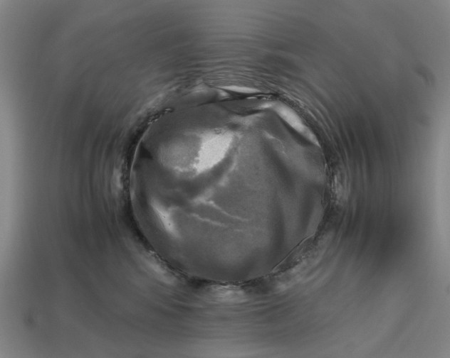 X0000112970424200909171322