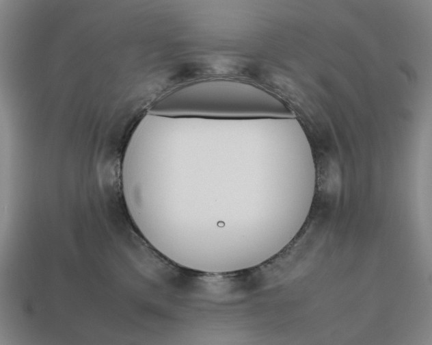 X0000112970425200909171322