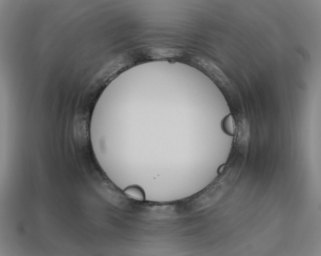 X0000112970426200909171322