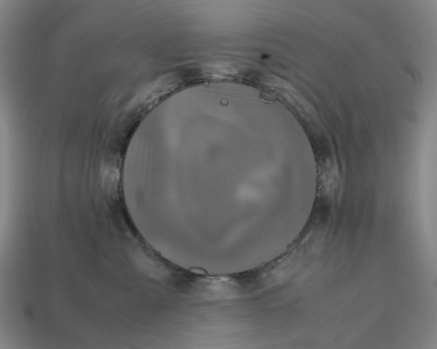 X0000112970427200909171322