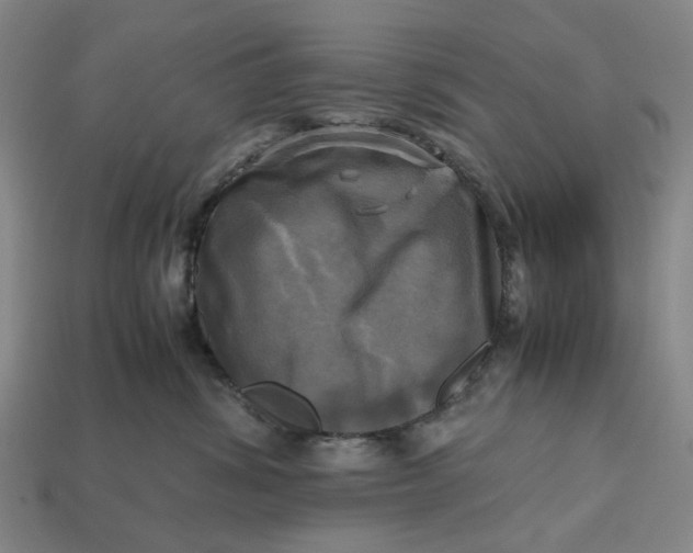 X0000112970428200909171322