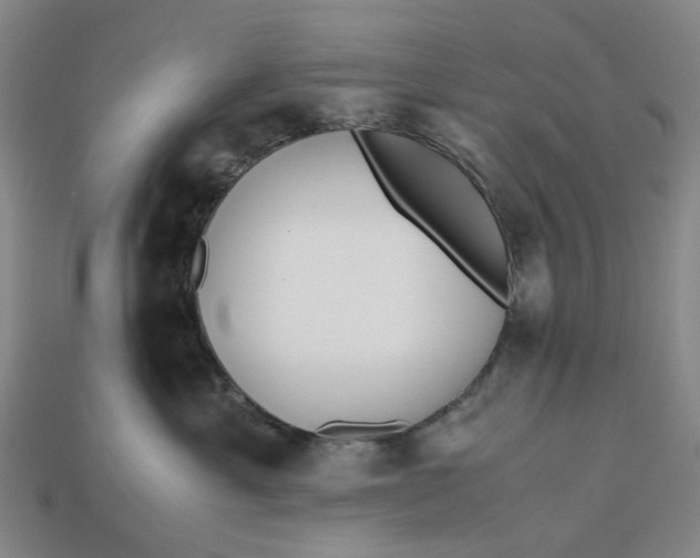 X0000112970429200909171322