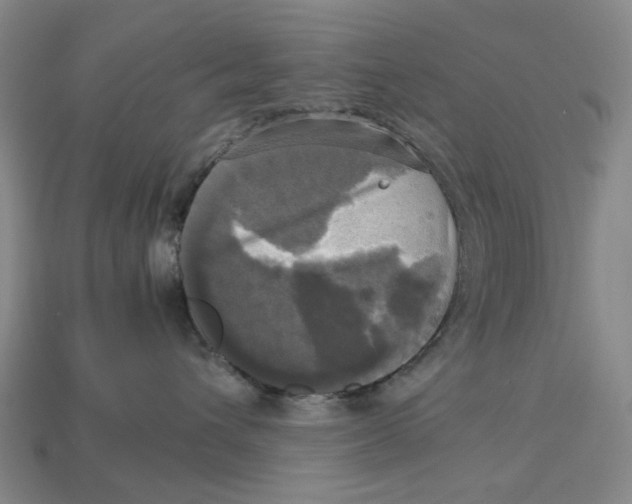 X0000112970432200909171322