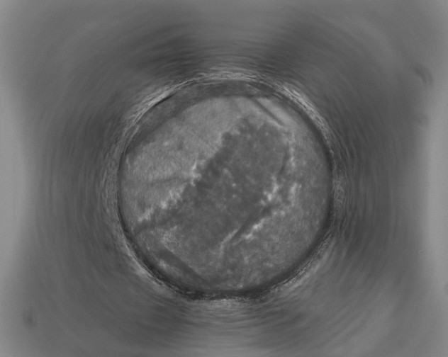 X0000112970433200909171321