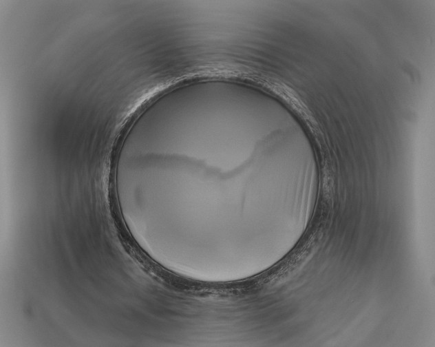 X0000112970434200909171321