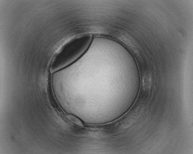 X0000112970436200909171321