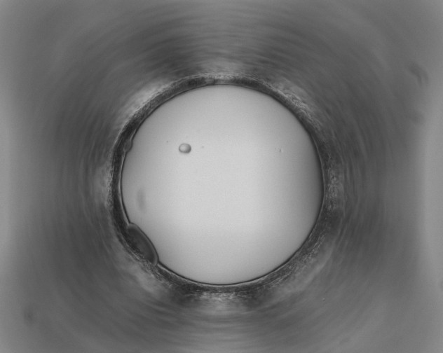 X0000112970440200909171321