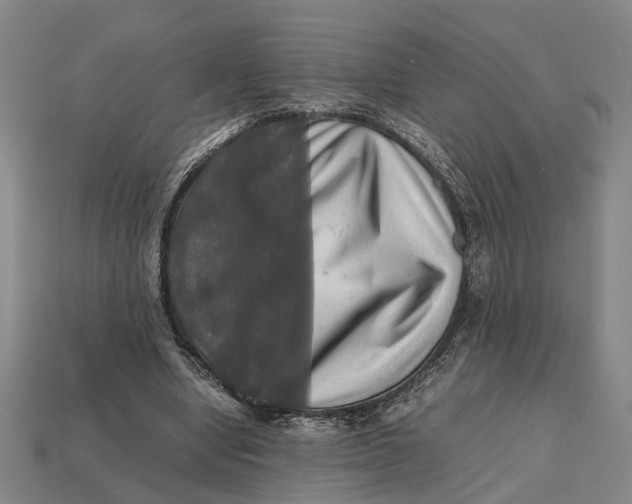 X0000112970442200909171321