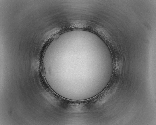 X0000112970444200909171321