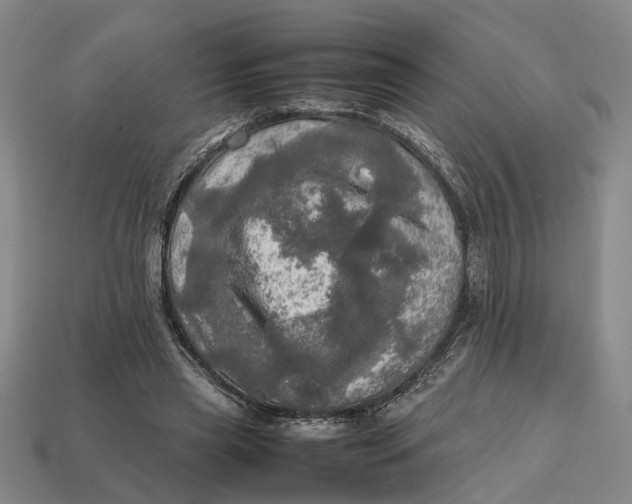 X0000112970445200909171321