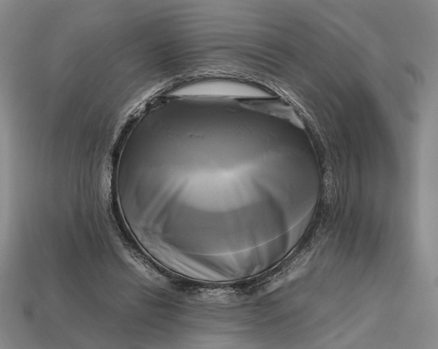 X0000112970446200909171321