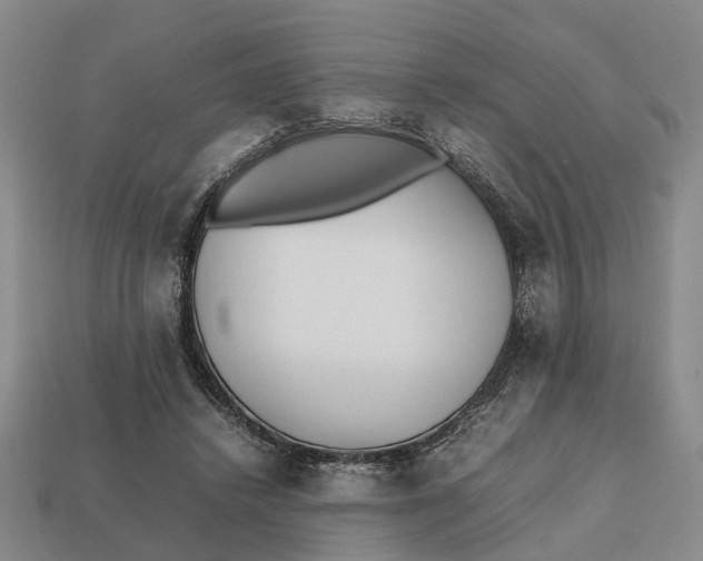 X0000112970448200909171321