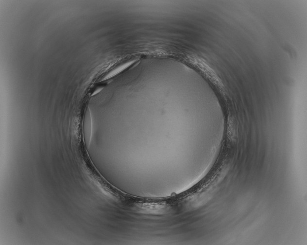 X0000112970449200909171321