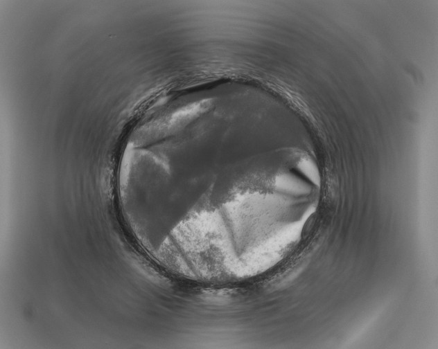 X0000112970450200909171321