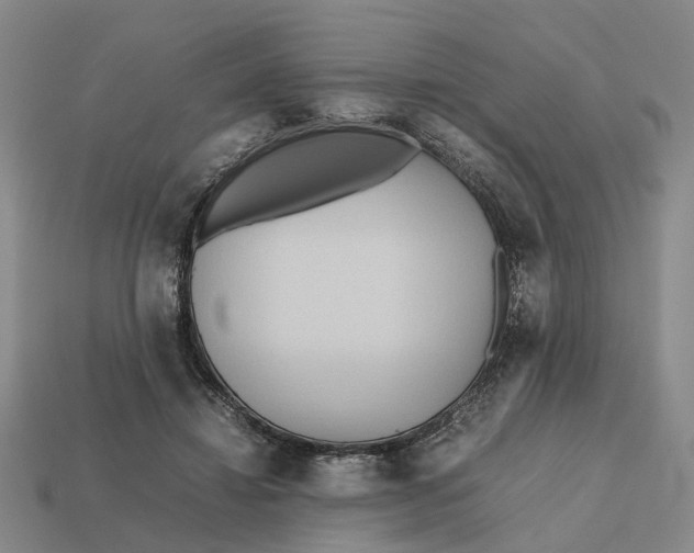 X0000112970452200909171321