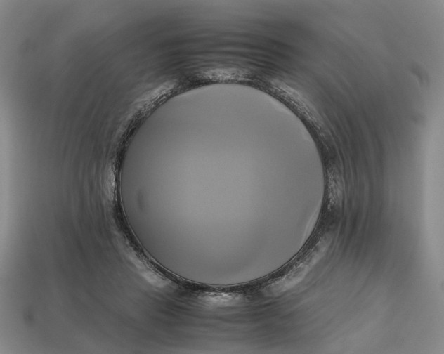 X0000112970453200909171321