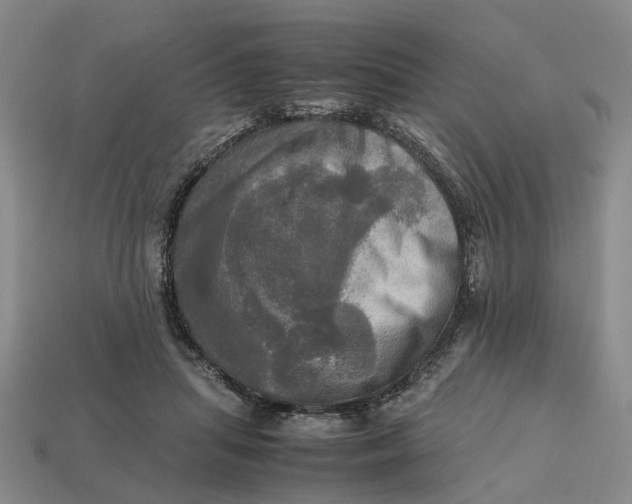 X0000112970455200909171321