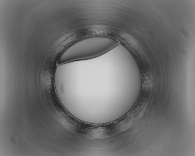 X0000112970456200909171322