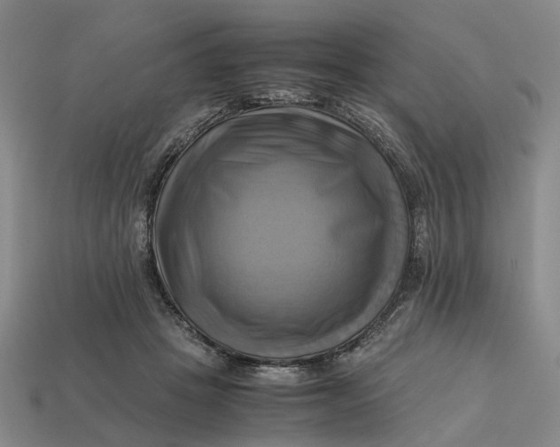 X0000112970457200909171322