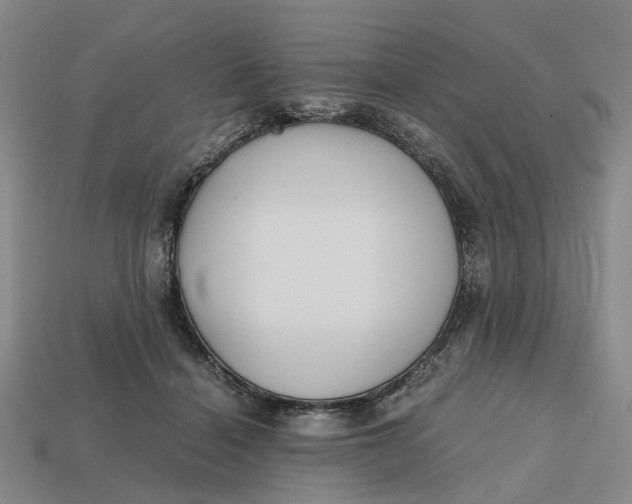 X0000112970460200909171322