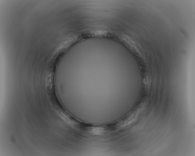 X0000112970462200909171322