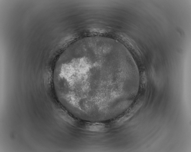 X0000112970463200909171322