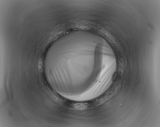 X0000112970465200909171322