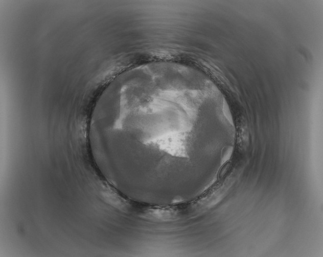 X0000112970466200909171322