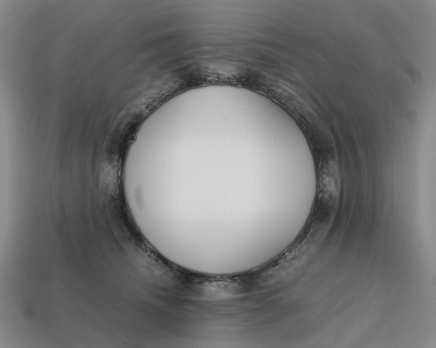 X0000112970468200909171322