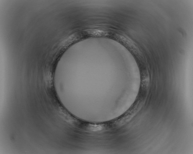 X0000112970469200909171322