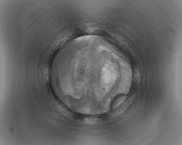 X0000112970470200909171322