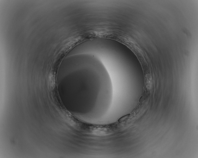 X0000112970471200909171322