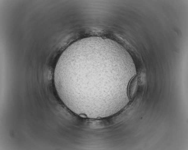 X0000112970472200909171322