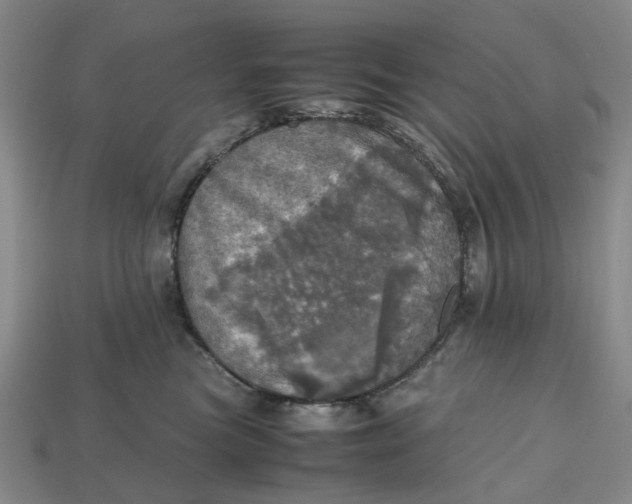 X0000112970473200909171322