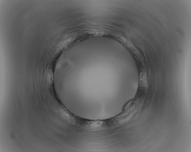 X0000112970474200909171322