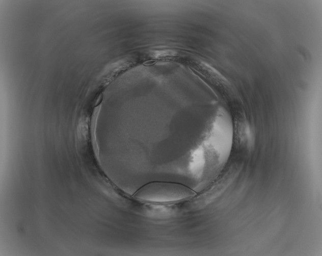 X0000112970475200909171322